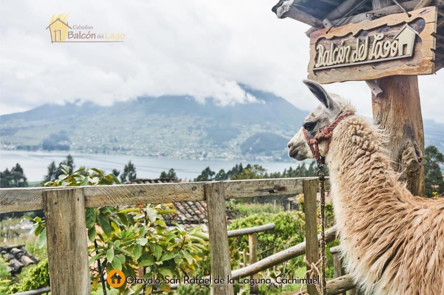 Cabanas Y Glampings Balcon Del Lago Otavalo Εξωτερικό φωτογραφία
